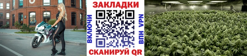 Где купить Краснозаводск Alpha-PVP  МЕФ  Марихуана 