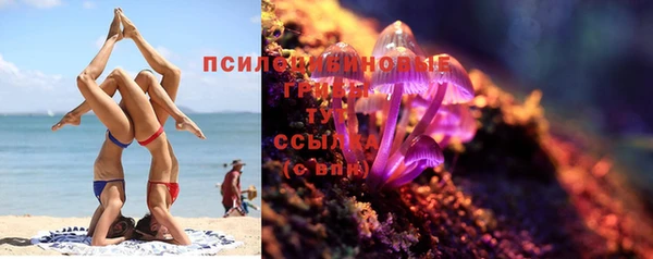 а пвп мука Абаза