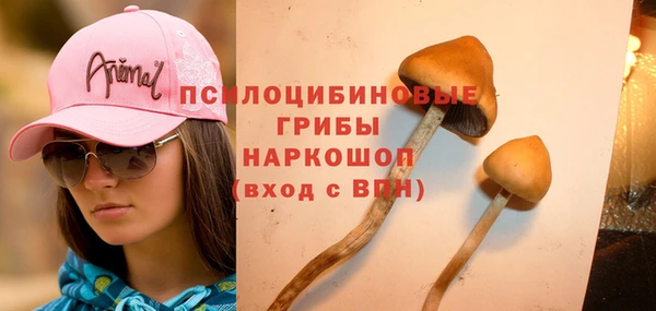 apvp Алексин