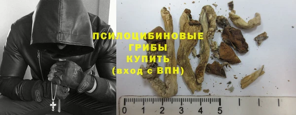 гидропоника Алзамай