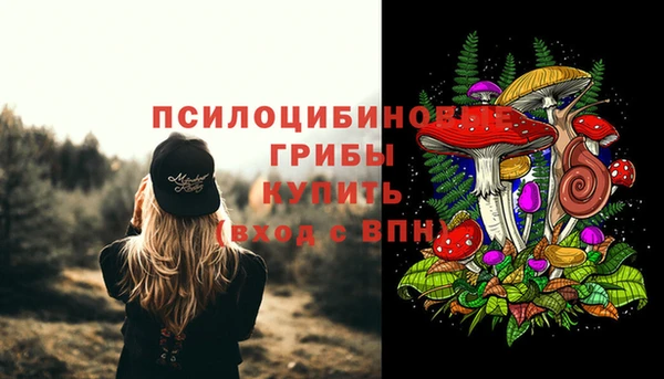 apvp Алексин