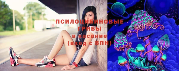 гидропоника Алзамай
