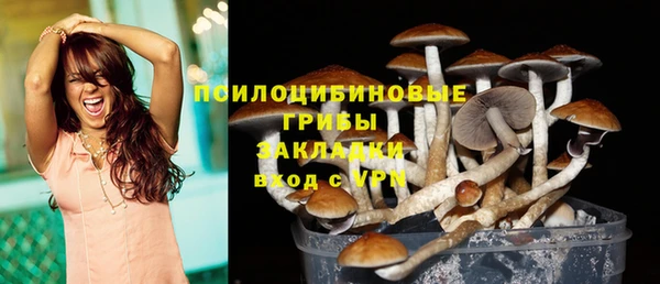 гидропоника Алзамай